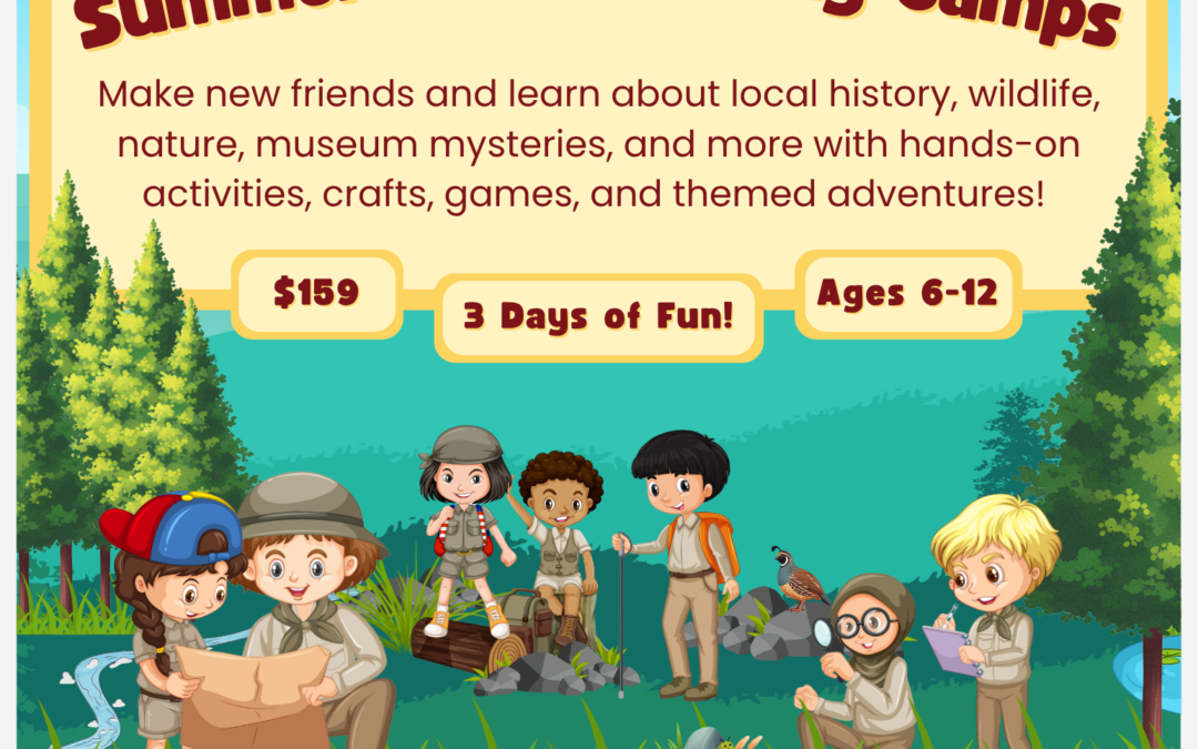 Summer Wonders Day Camps